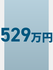 借金総額529万円