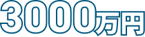 取得金額3000万円