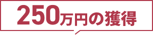 250万円の獲得