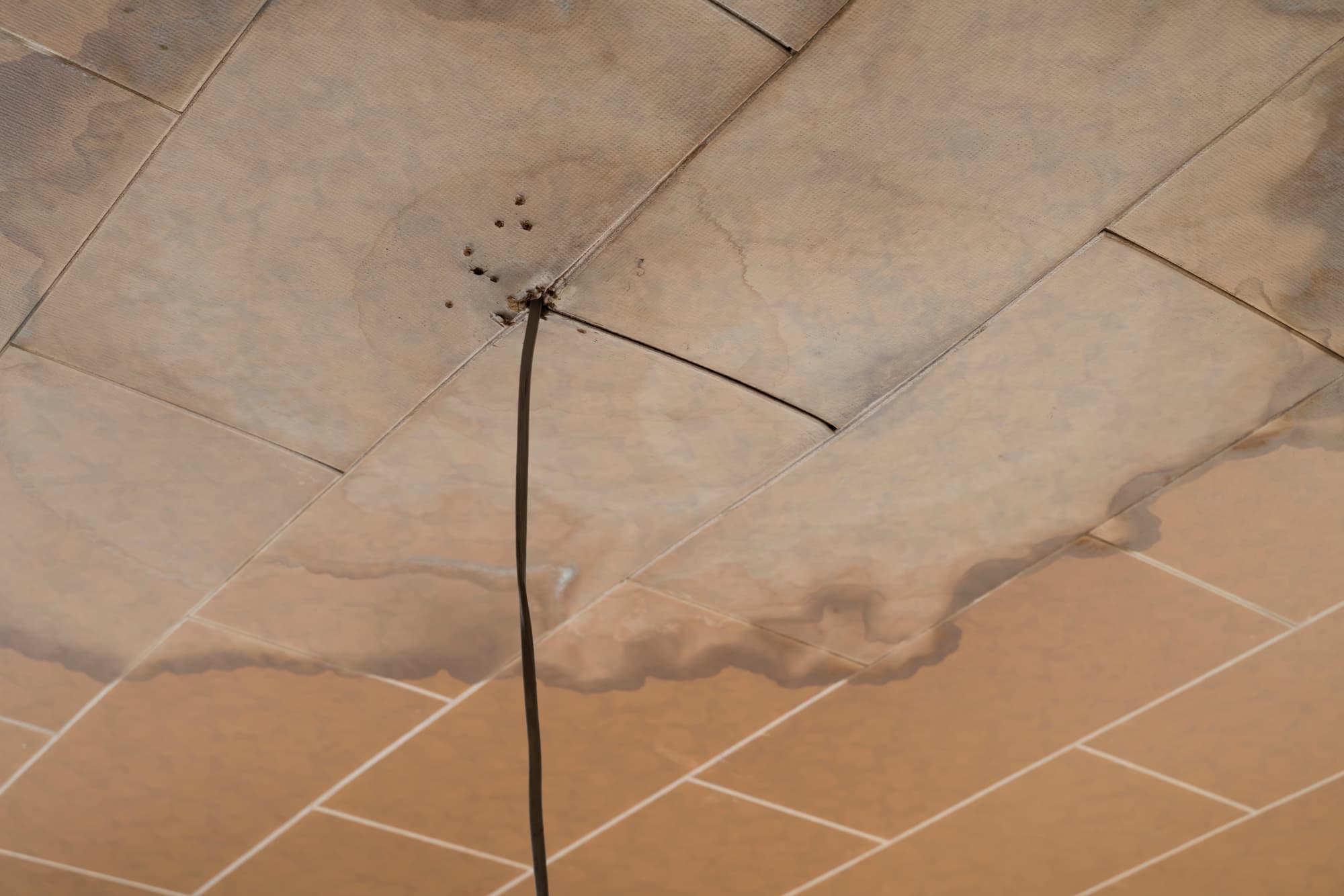 雨漏りでアパートを退去する際の立ち退き料はもらえる?引っ越し費用は?