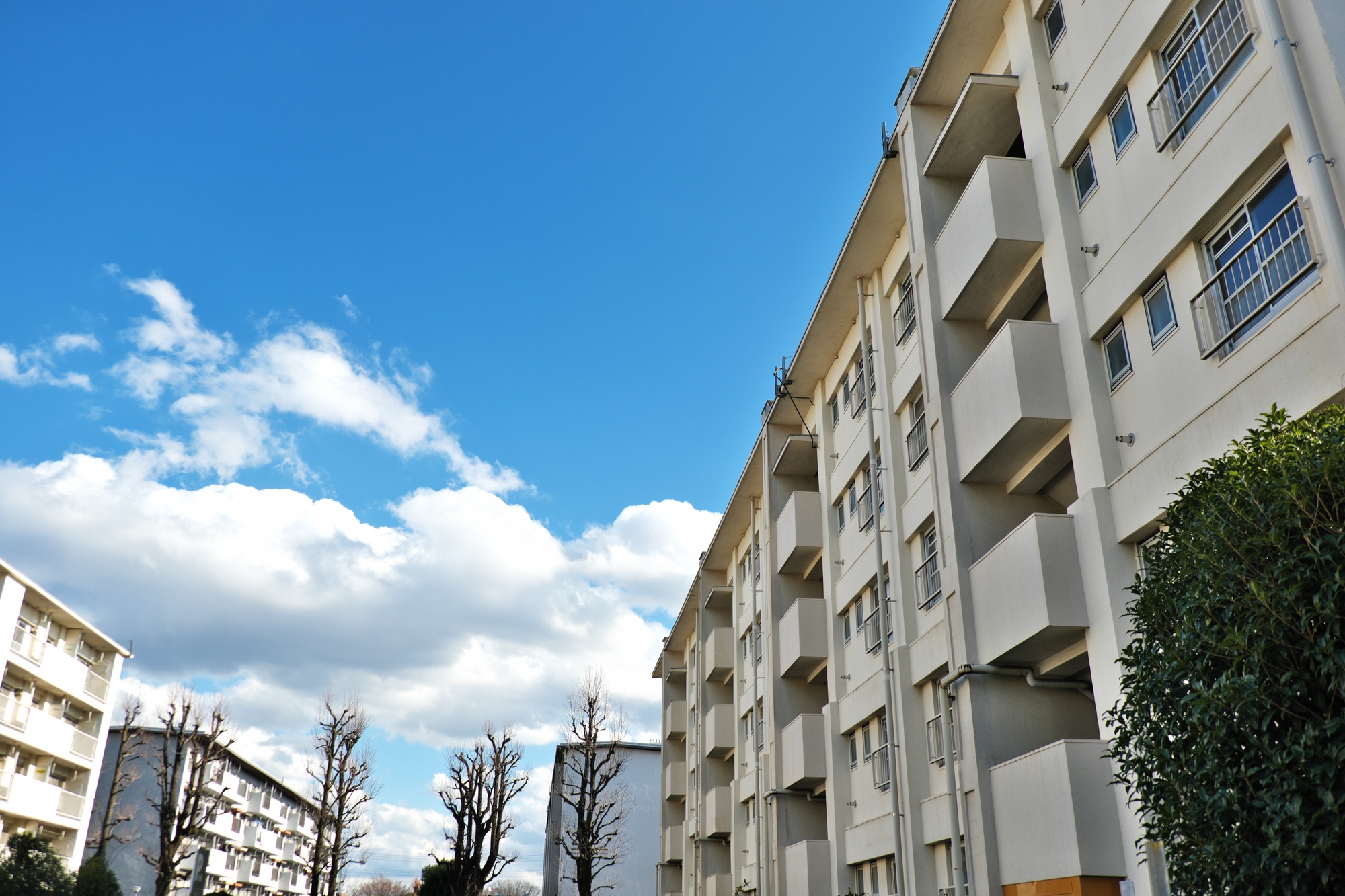 法定更新とは?立ち退きの拒否や賃料を払ってもらえない場合の対処法を解説